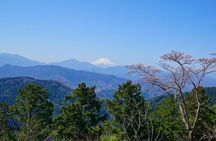 Walking Tour Mount Takao : Nature and Tradition in Tokyo