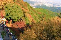 Walking Tour Mount Takao : Nature and Tradition in Tokyo