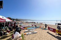 Melbourne: Explore Great Ocean Road by Private Tour