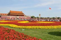 Forbidden City and Tiananmen Square Guided Tour in Beijing