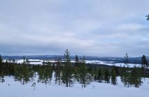 Ivalo: A Day in the Backcountry