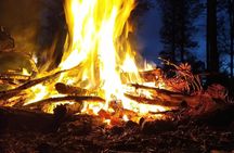 An Evening in the Backcountry, Northern Lights on a Sleighride
