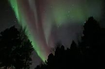 An Evening in the Backcountry, Northern Lights on a Sleighride