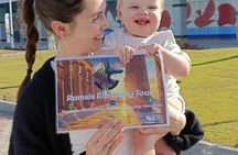 Private Tour of Luxor Highlights – East & West Bank with Guide