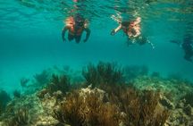 Akumal turtles sanctuary and go pro photos 