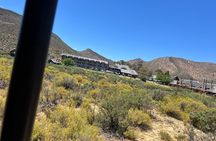 Full day Aquila Game Reserve Big 5 Safari with Wine Tasting Tour