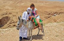 Taroudant and Tiout Day Trip from Agadir or Taghazout