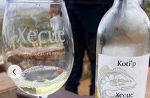 ATV Off-Road Adventure through Valle de Guadalupe + Winery Visit