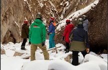 Maligne Valley and Pleckaitis Icewalk 
