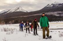 Secrets of Jasper Snowshoe Tour