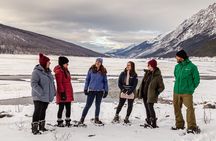 Secrets of Jasper Snowshoe Tour