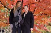 Hiroshima and Miyajima Full Day Private Tour