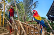 Roatan Wildlife Sanctuary, Chocolate ,Rum Tasting & Snorkel Combo