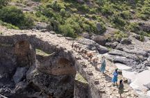 Historical and Nature Day Trip To Debre Libanos Monastery 