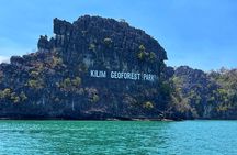 3 Hour Mangrove Tour with Bonus Snorkeling Experience