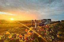 Sunset and champagne tasting DE the vineyards