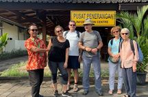 Borobudur Climb To the top & Prambanan Temple All Inclusive Tour