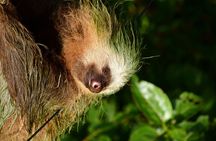 Experience the Adventure Explore the Monteverde Cloud Forest