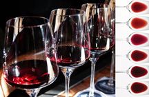 Milan: sensory journey to discover 3 unmissable red wines