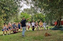 North Corfu Olive Tour With Olive oil Tasting & Meze