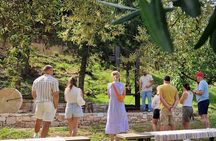 North Corfu Olive Tour With Olive oil Tasting & Meze
