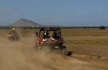 Buggy Tour Sal Island