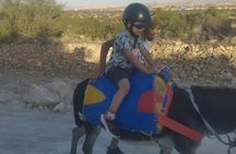 Essaouira Donkey Tours 