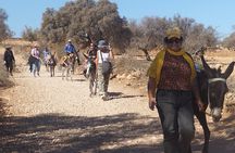 Essaouira Donkey Tours 