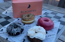 Harvard Square Donut Adventure