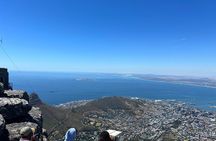 Kirstenbosch Botanical Garden and Table Mountain with Wine Tour