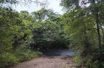 Mountain bike & River ride at Cañas Dulces - Liberia
