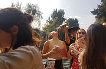 "Xochimilco: A Floating Mexican Fiesta"