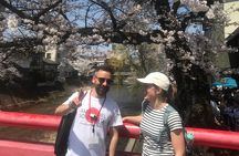 EXPERIENCE TAKAYAMA & LOCAL SAKE TASTING with explanation 1 HOUR!