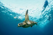 Nusa Penida day trip: boat, 4 snorkeling, Manta rays & Land tour