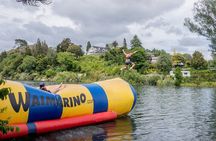Tauranga: Waimarino Adventure Park