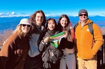 Mt Fuji and Hakone 1-Day Bus Tour Return by Bullet Train
