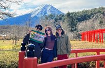 Mt Fuji and Hakone 1-Day Bus Tour Return by Bus