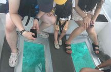 Glass Bottom Boat