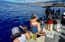 Maui Mid Day Magic Whale Watch 