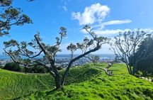 Auckland Hidden Gem Half Day Tour