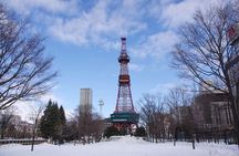 Sapporo Full-Day Tour by Minivan