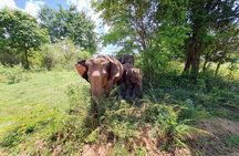 Sri Lanka 06 Days Wildlife & Sightseeing Tour