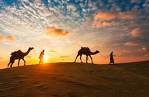 Shared Desert Safari in Dubai 