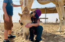 Thrilling Desert Safari Adventure with Quad Biking