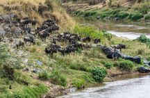 5 Days Safari Camping Tour