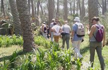 Private Day Tour to Dahshour and Meidum