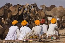 Pushkar Day Trip from Jaipur