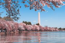 Top Tidal Basin Explorer of Thomas Jefferson FDR & MLK Memorials