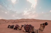 Dubai Desert Safari Adventure Tour with Dinner