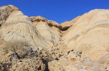Excursion by car with official guide in Bardenas Reales